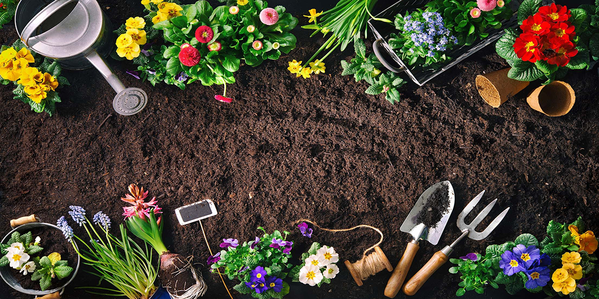 Know How Gardening Deepens Your Connection with Nature