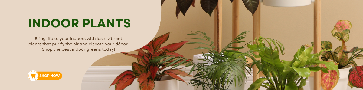 Fashion (1200 x 300 px) (2)