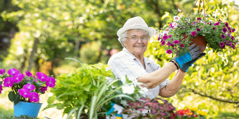 Gardening Therapy