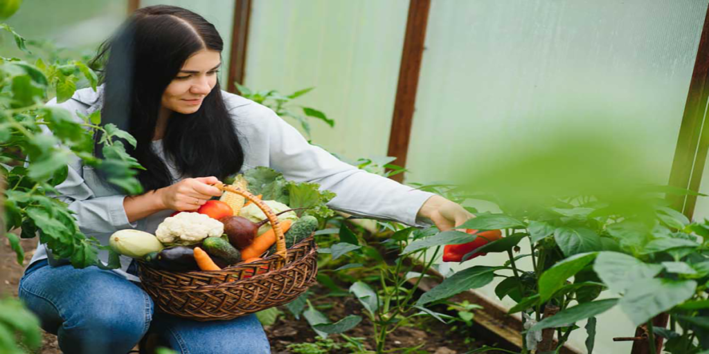 kitchen gardening